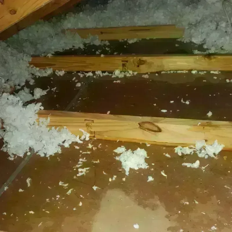 Attic Water Damage in Burleson County, TX