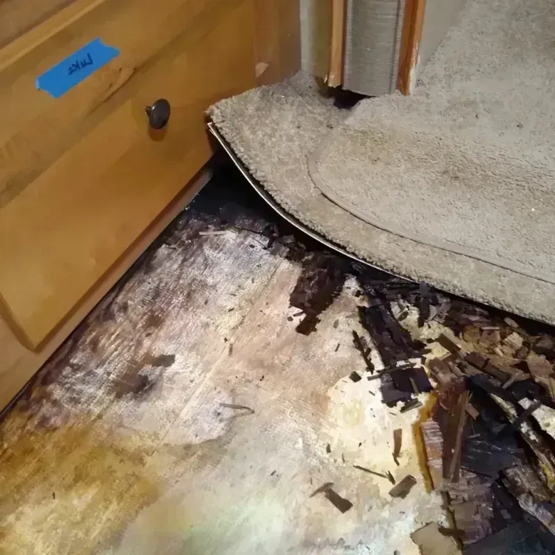 Best Wood Floor Water Damage Service in Burleson County, TX